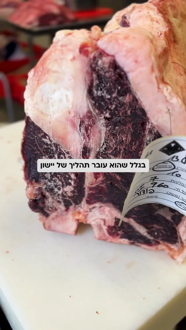 סרטון של יוז׳י דלי