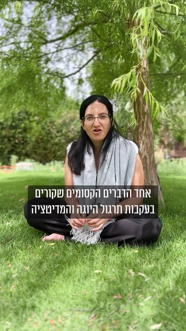 סרטון של ליה שטרן